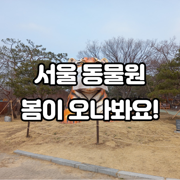  서울 동물원 봄이 오나 봐요 아들과 산책하기