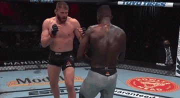 UFC 259: 블라코비치 vs 아데산야 리뷰(GIF) - MMA에선 체급이 중요하다 UFC 259: 블라코비치 vs 아데산야 리뷰(GIF) - MMA에선 체급이 중요하다