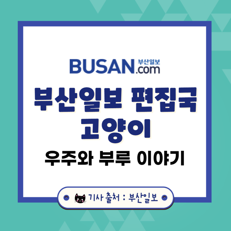  부산일보 편집국 고양이 우주와 부루 이야기