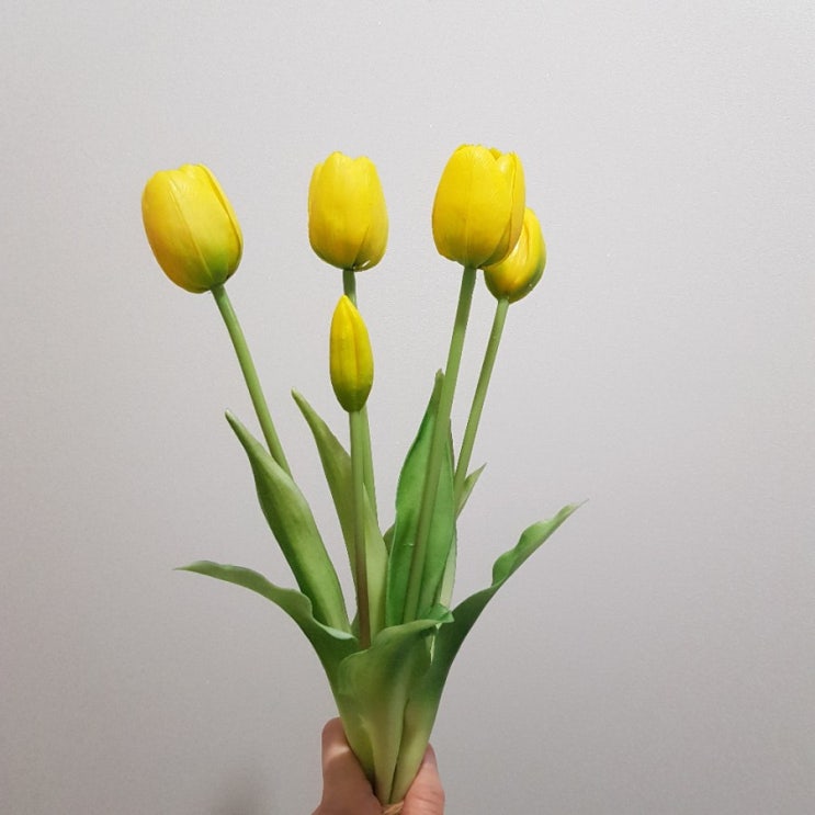  생화같은 조화로 봄맞이 집꾸미기/ 송도 조화 살만한 곳 