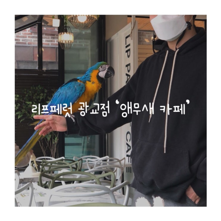  아이와함께가기 좋은 곳 추천 앵무새카페 리프페럿 광교점