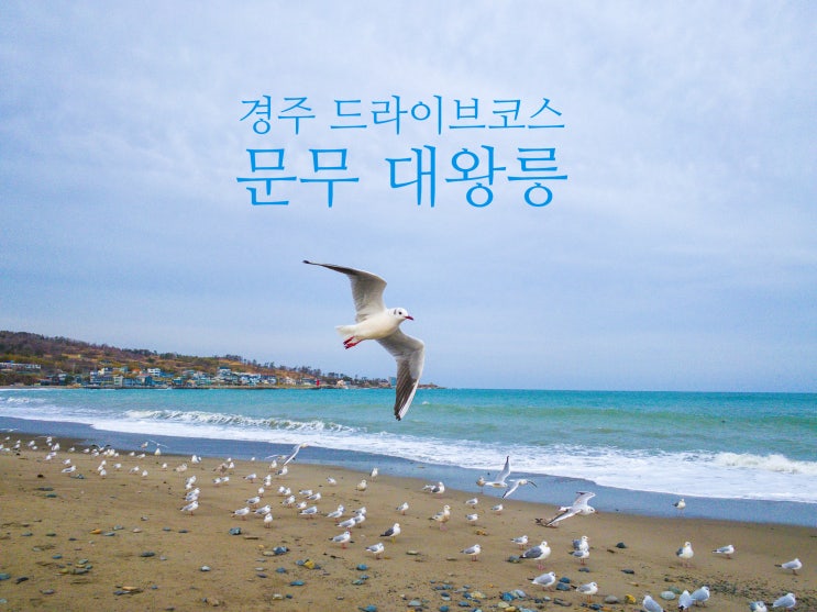  경주 드라이브코스 문무대왕릉