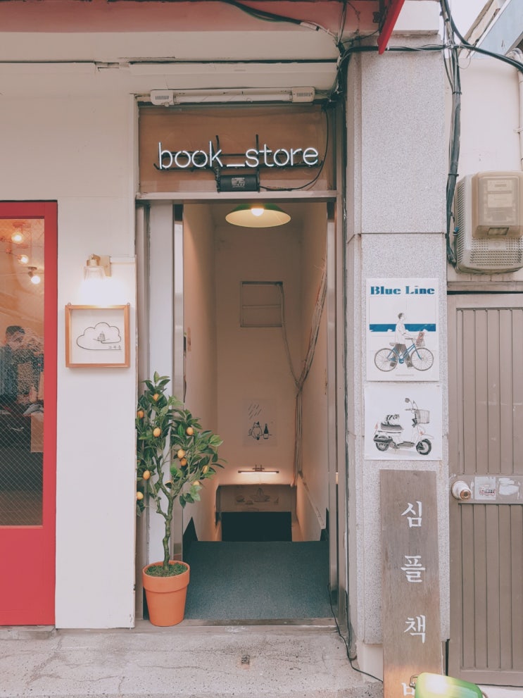  [대구 동대구역] 귀여운 고양이가 있는 독립서점 심플책방