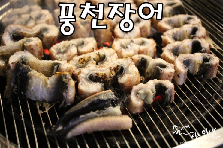  [가락시장역 맛집] 송파 장어 맛나는 풍천장어