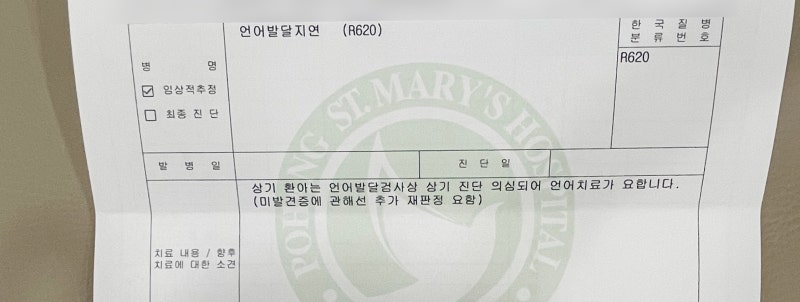 43개월 언어 발달 시험(MacArthur Bates 시험), 언어 평가 비용, 언어 치료, 심리 치료, 실제 보험 청구 요약