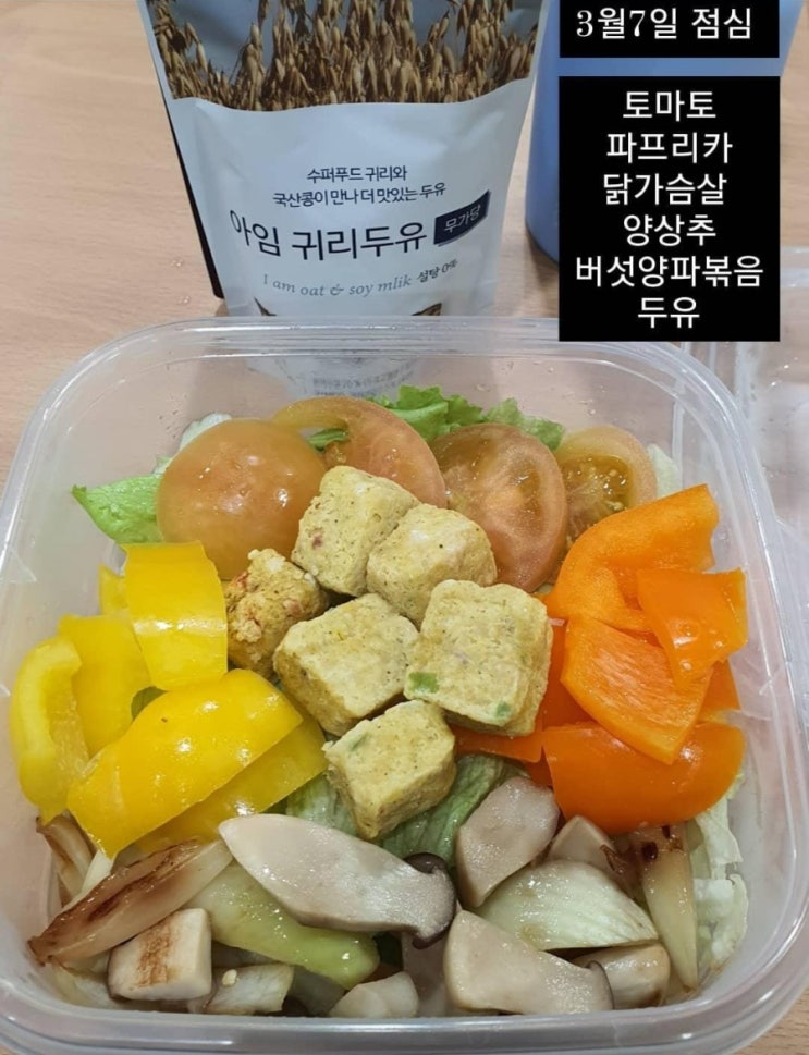  [다이어트 기록] 다이어트 3주차