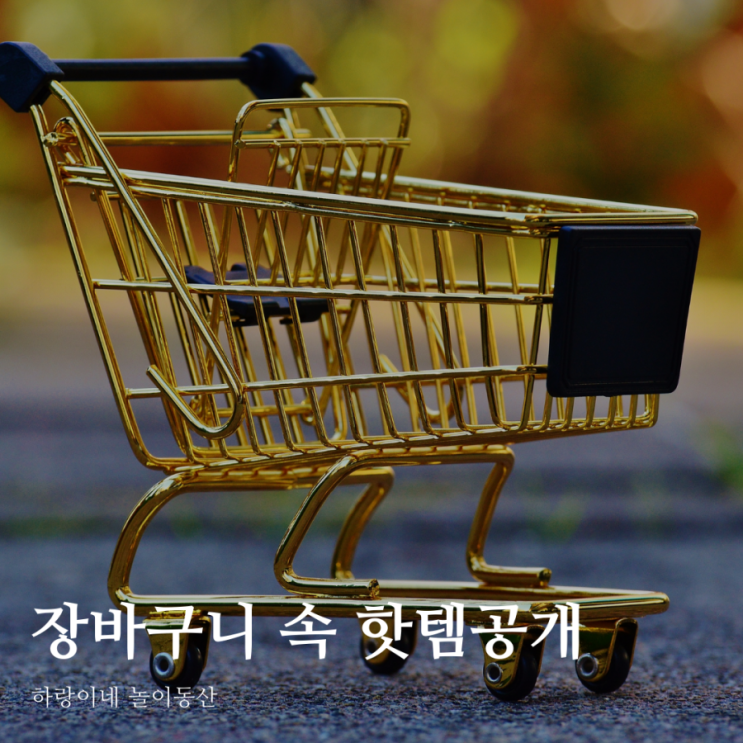  장바구니 속 핫템을 공개합니다