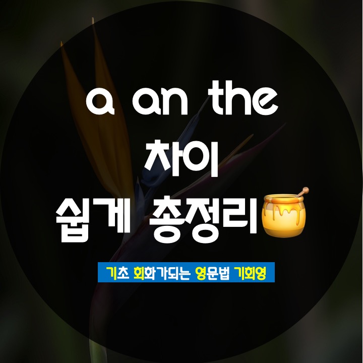  a the an 차이 쓰임 예문으로 쉽게 정리 - 기회영