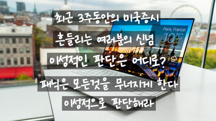  최근 미국증시를 바라보는 시선. 공포 및 패닉을 경험한 투자자.