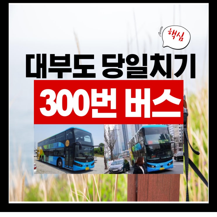  대부도 당일치기 여행 with 2층버스 300번