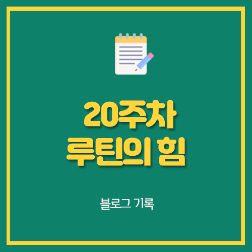  20주차 루틴의 힘