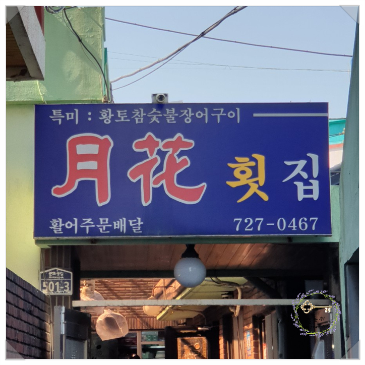  기장 아나고 붕장어회 먹으러 20년 넘게 다닌 월화횟집