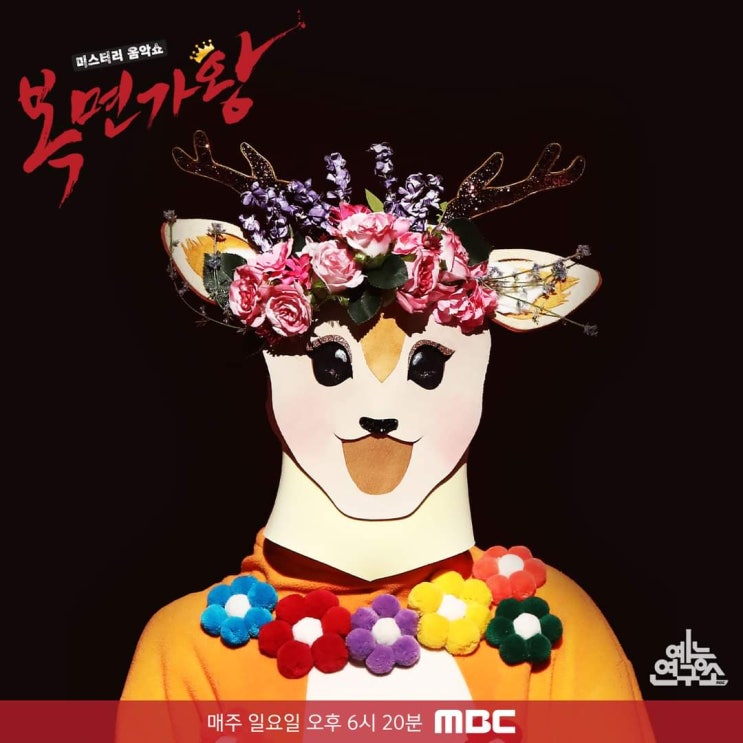복면가왕 쑥, 마늘, 꽃사슴, 음악회 정체 복면가왕 쑥, 마늘, 꽃사슴, 음악회 정체