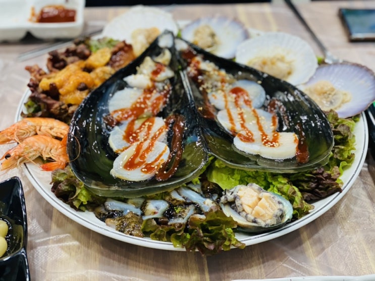  [강원/속초] 대포항 회센터 맛집 C동 25호 회먹고놀자 해산물 내돈내산 내돈내먹 후기