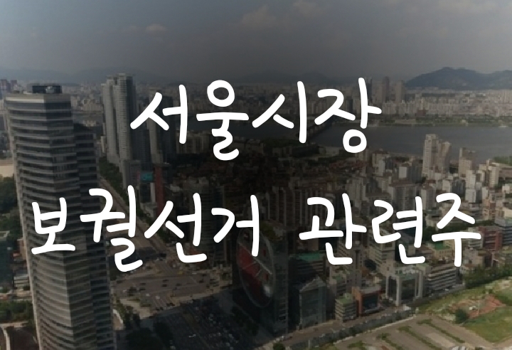 서울시장 보궐선거 관련주(안철수/오세훈/박영선) 서울시장 보궐선거 관련주(안철수/오세훈/박영선)