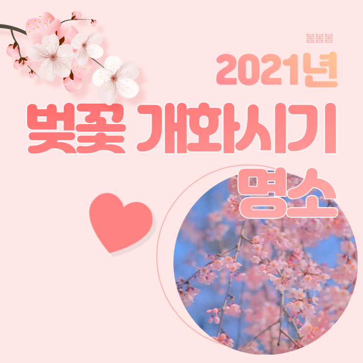 2021 벚꽃 개화시기 벚꽃 명소 알아보자