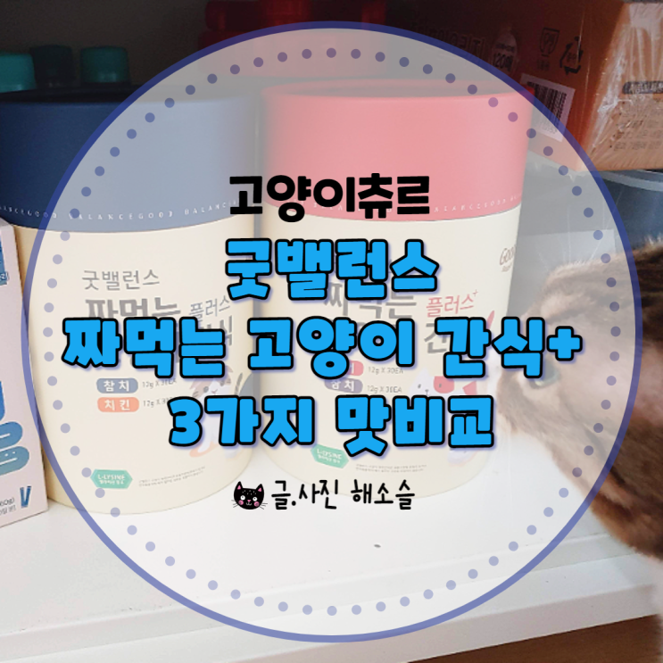  고양이 츄르 굿밸런스 짜먹는 고양이 간식 플러스 3가지 맛 비교