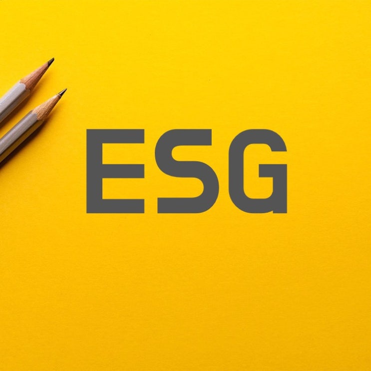  ESG 뜻, ESG경영 기업, 전세계적인 트렌드!(취준생, 투자자 모두 꼭 알아야할 ESG)