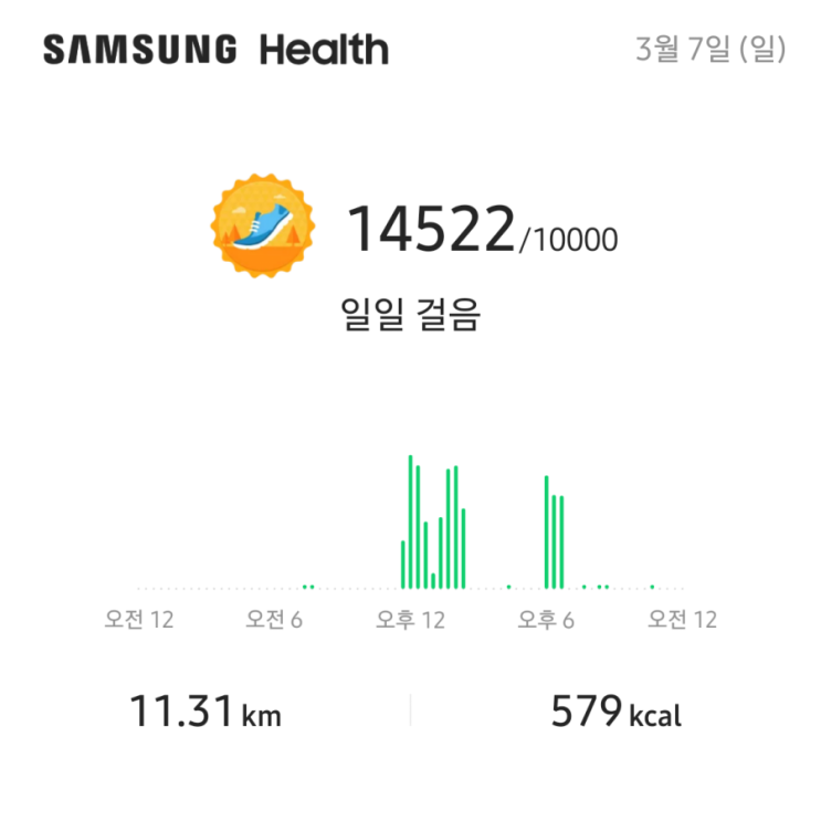  블로그 활기 넣어주기 위한 10000보 걷기