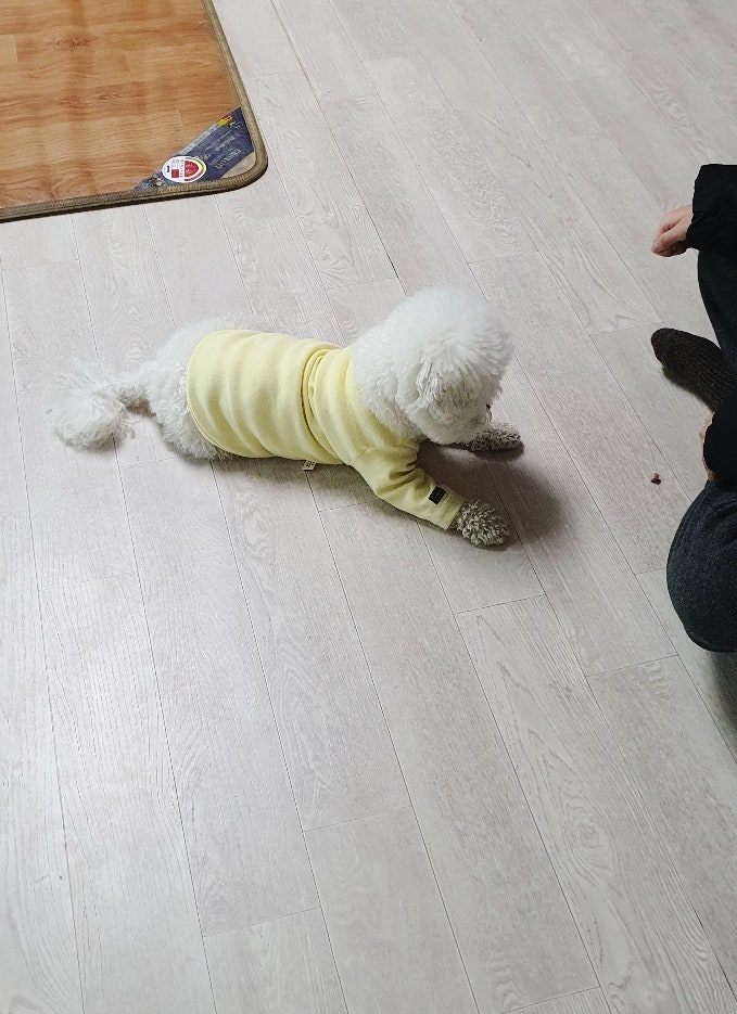 사진 5