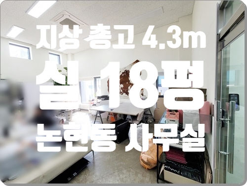  보석 같은 지상 층고 4.3m 논현동 소형 사무실 임대