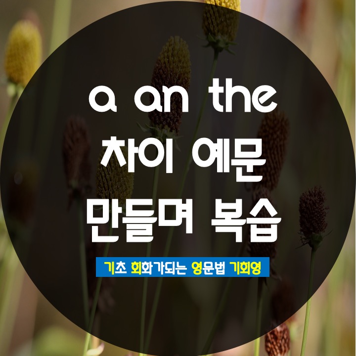  a an the 차이 예문 만들며 쉽게 공부 - 기회영