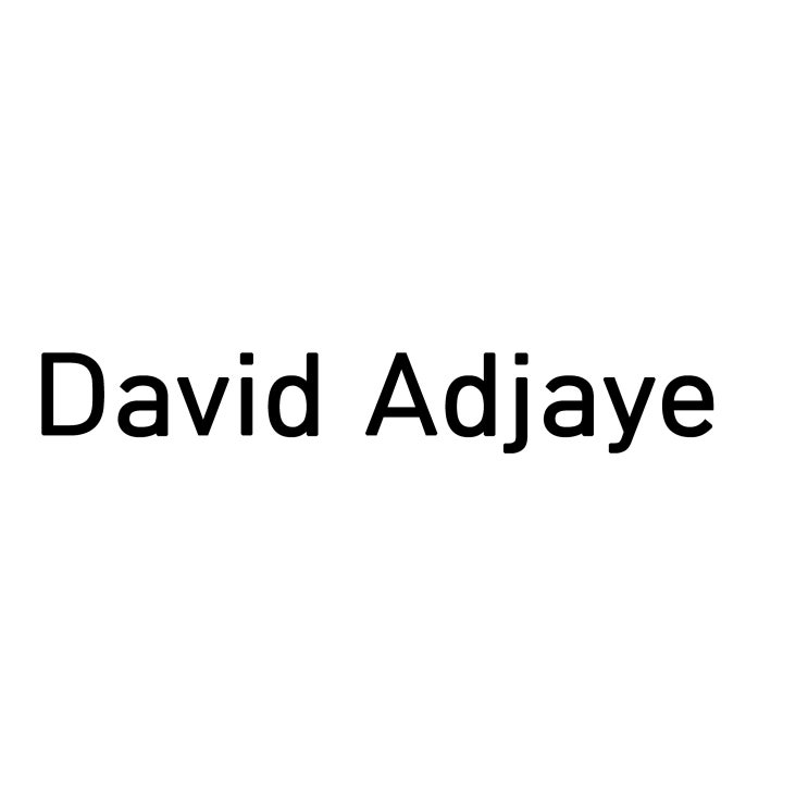  David Adjaye