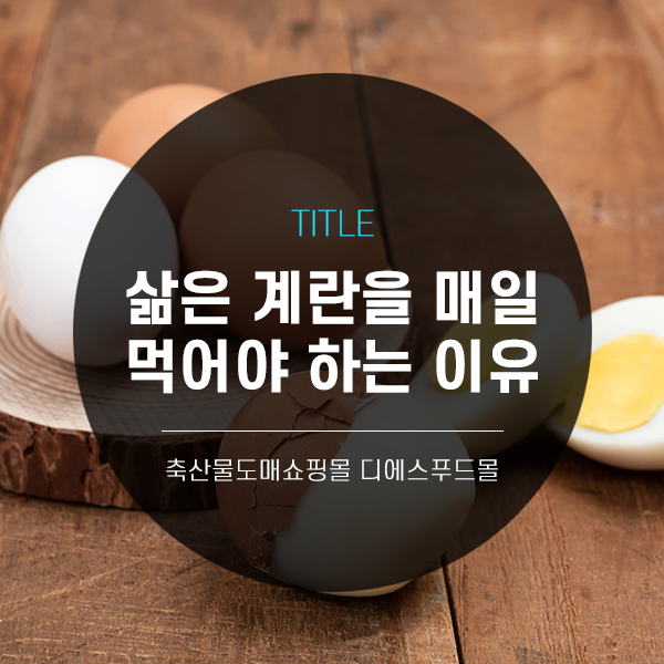 [디푸의 고기정보]삶은 계란을 매일 먹어야 하는 이유