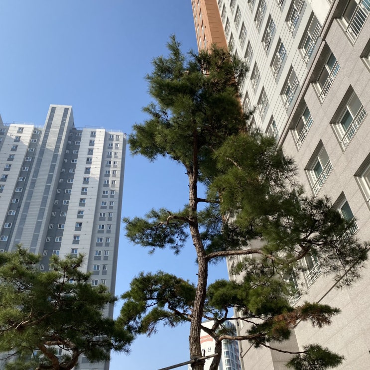  [일상]2021.03.08