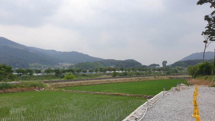  목에 가래낀 느낌 원인과 치료