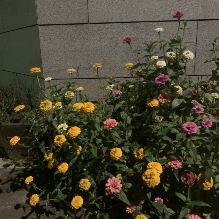  운동 시작한지 246일째