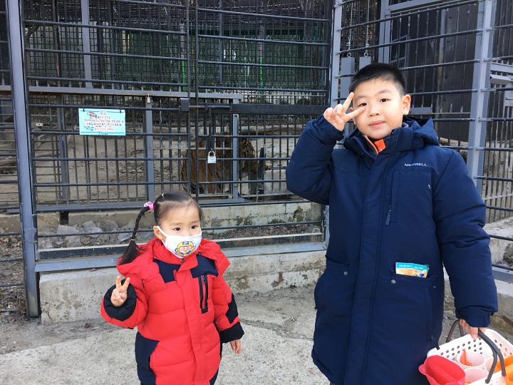  가평여행 - 아침고요가족동물원, 양평 풀향기허브나라 & 토이박물관