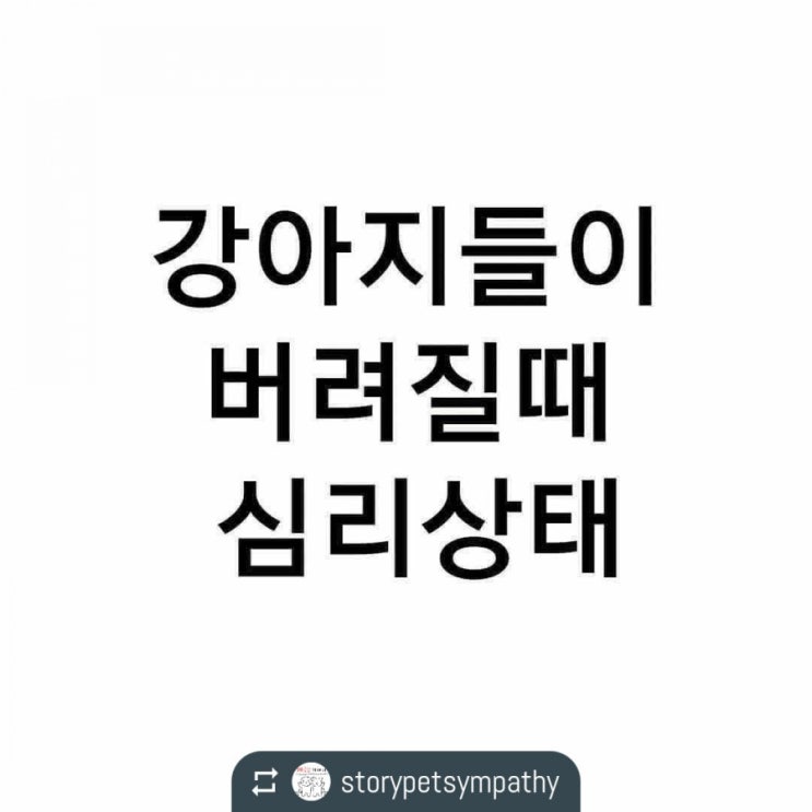  강아지들이 버려질 때 심리상태