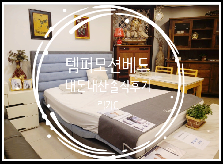  템퍼 모션 베드 내돈내산 솔직 후기