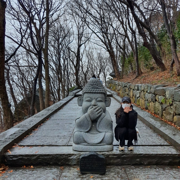  여수 뚜벅이 여행 버스타고 향일암~