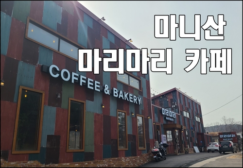  강화도 마니산 마리마리카페 논밭뷰 마음이 편하네요