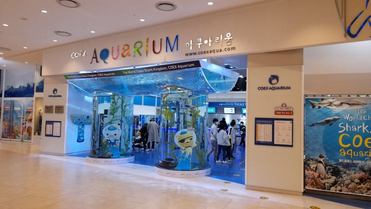  아이와 가볼 만한 코엑스 아쿠아리움(입장료 및 주차안내 포함)
