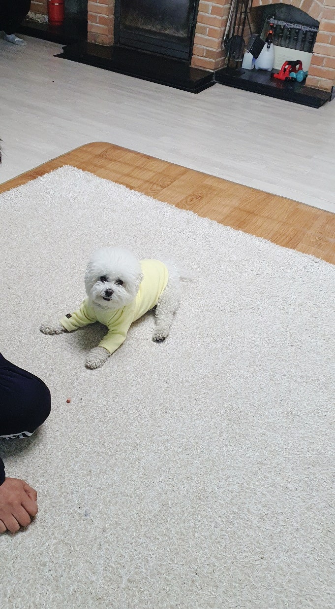 사진 6