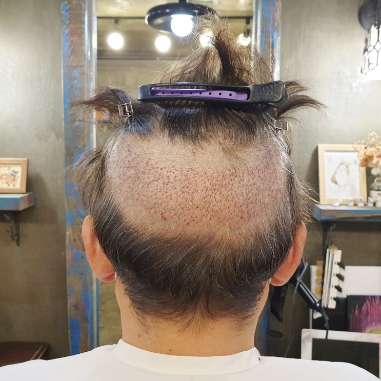  세미 울프컷 뒷머리 기르는법