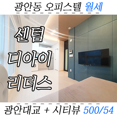 수영구 역세권 원룸, 광안동 센텀디아이리더스 오피스텔 월세 수영구 역세권 원룸, 광안동 센텀디아이리더스 오피스텔 월세