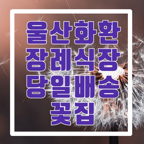  울산화환 장례식장 당일배송 꽃집