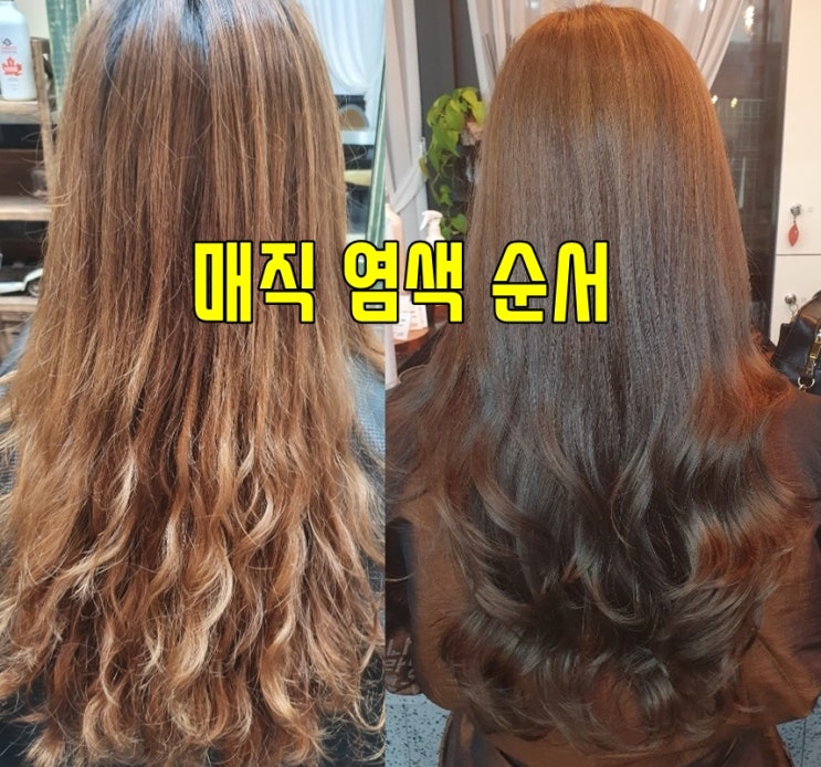  매직 염색 순서, 꼭 알아두세요.