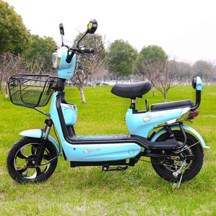 가성비갑 전기 자전거 2인용 세발 바이크 전동 스쿠터 접이식, 미니 블루 Chaowei 12A90 마일 추천합니다