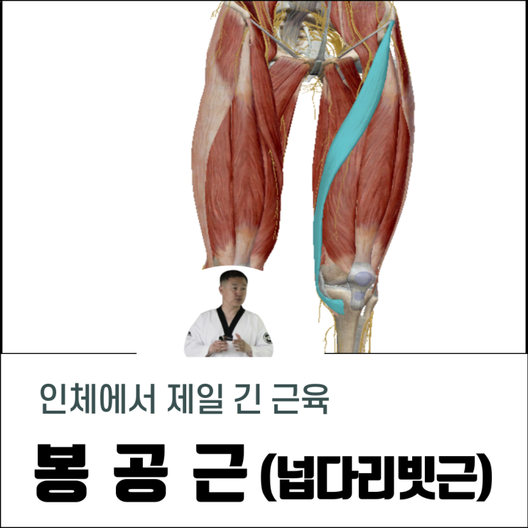  봉공근 허벅지 따끔거림의 원인