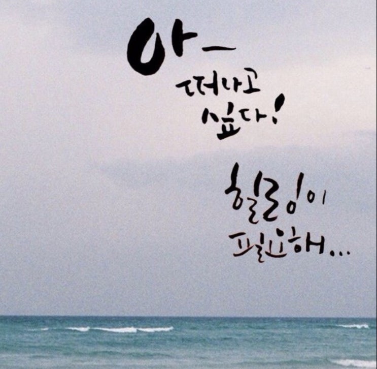  힐링이 필요하신가요?