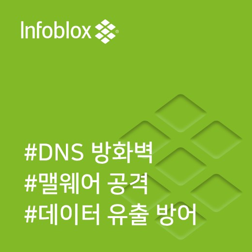  [인포블록스] Infoblox DNS Security