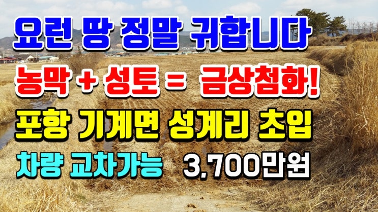 포항부동산 포항토지매매-기계면 성계리 시골땅 매매 텃밭 주말농장 포항부동산 포항토지매매-기계면 성계리 시골땅 매매 텃밭 주말농장