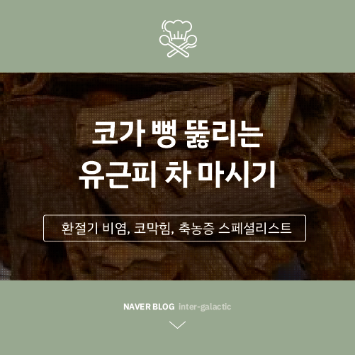  비염 코막힘 불면증에 좋은 유근피 차, 직접 끓이고 마시기 c
