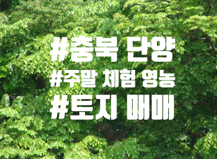  충청북도 단양군 자투리 토지 매매