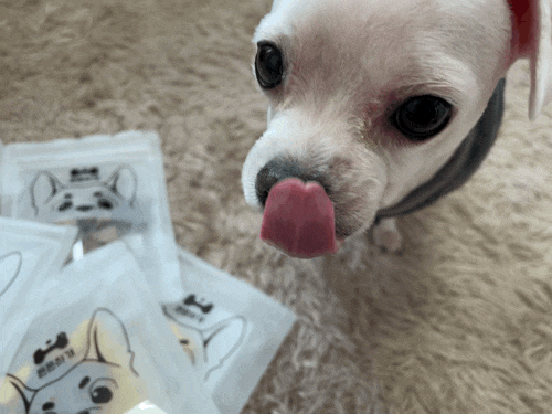  강아지다이어트간식 할때 맛좋은 든든하개 동결건조간식